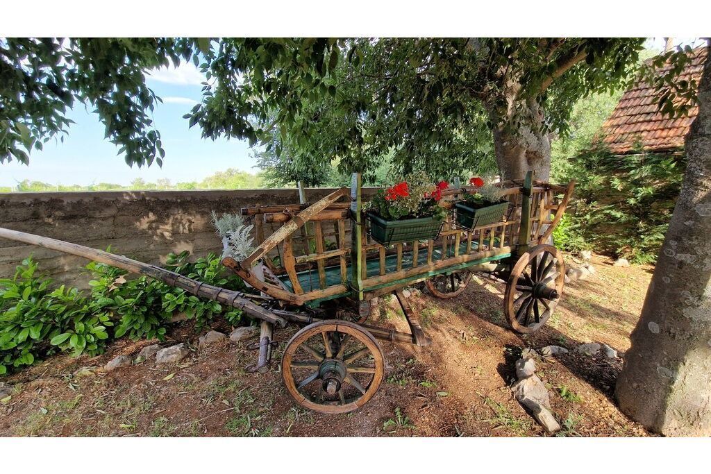 Photo of Outdoor in Oklaj