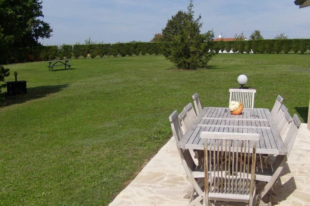 Photo of Outdoor in Montayral