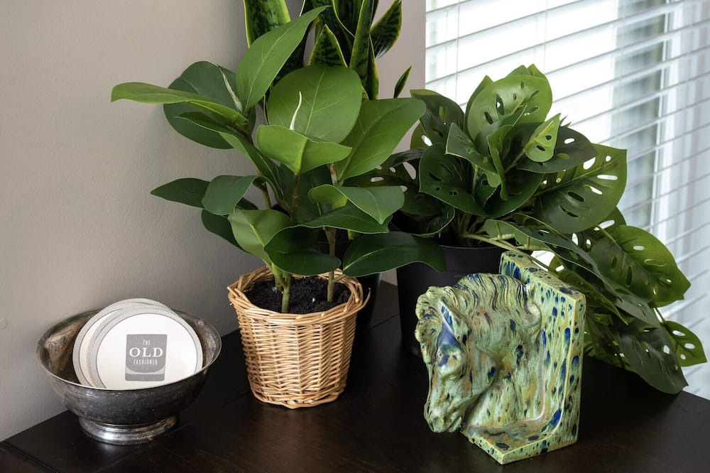 Photo of Others in Covington