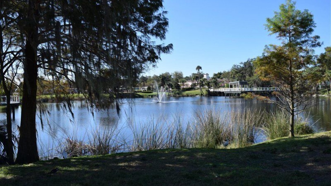 Photo of Others in New Port Richey
