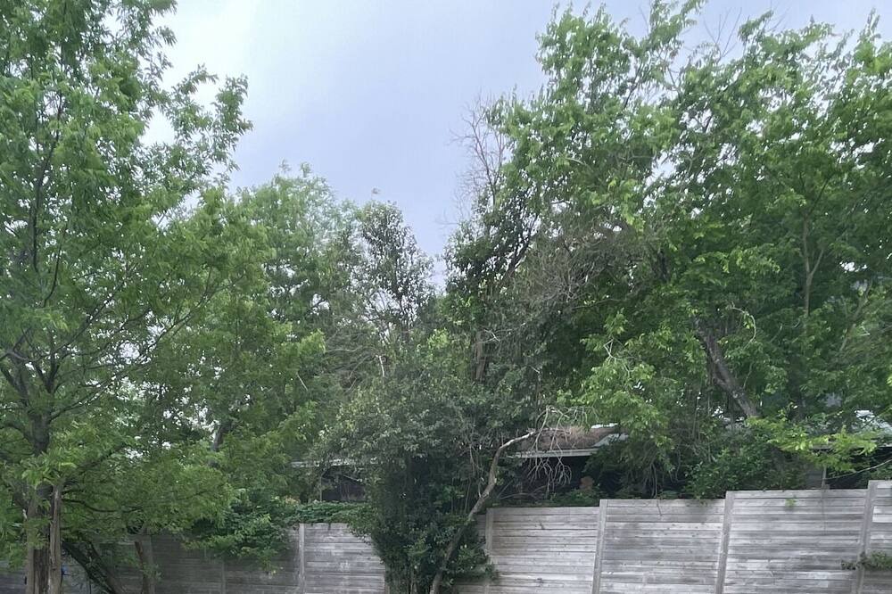 Photo of Outdoor in Rosewood