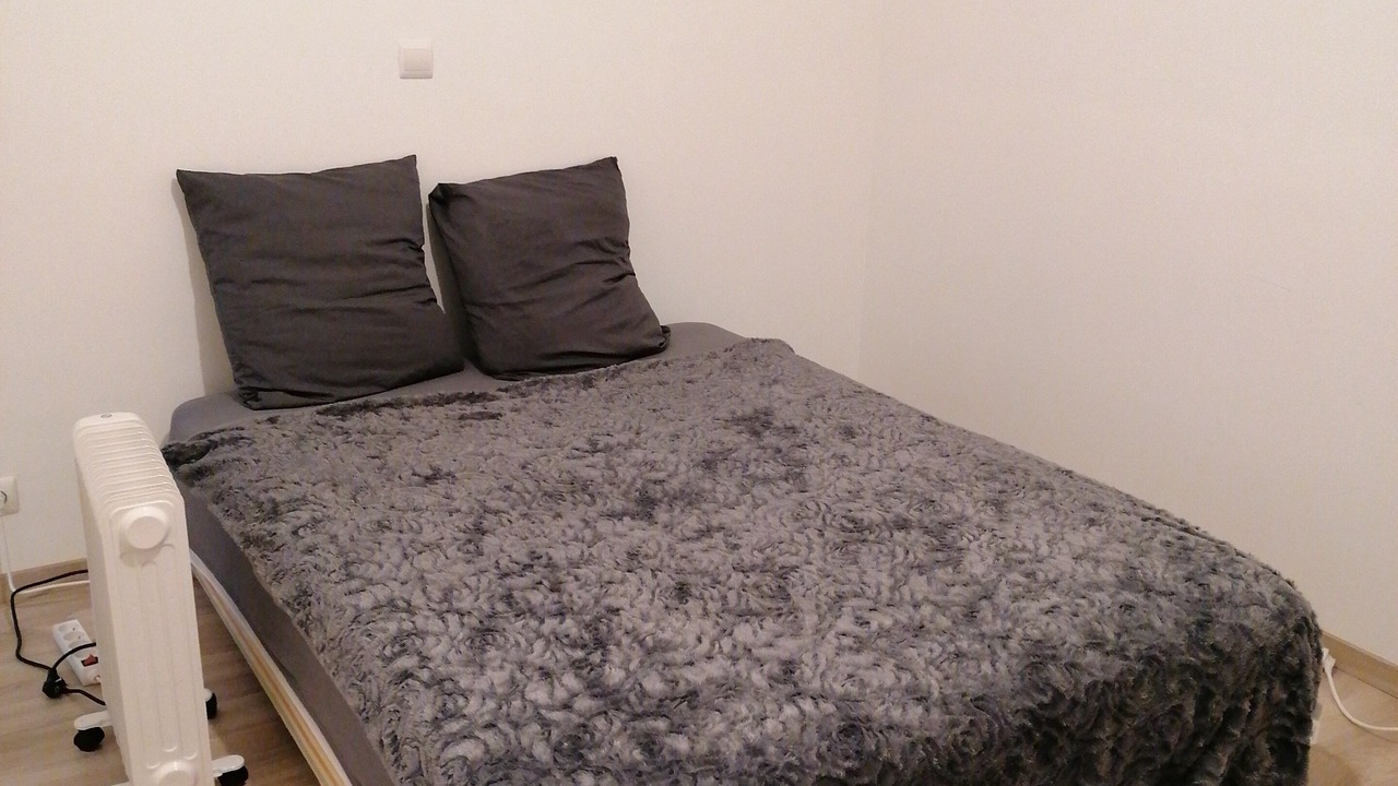 Photo of Bedroom in Savigne-lʼEveque