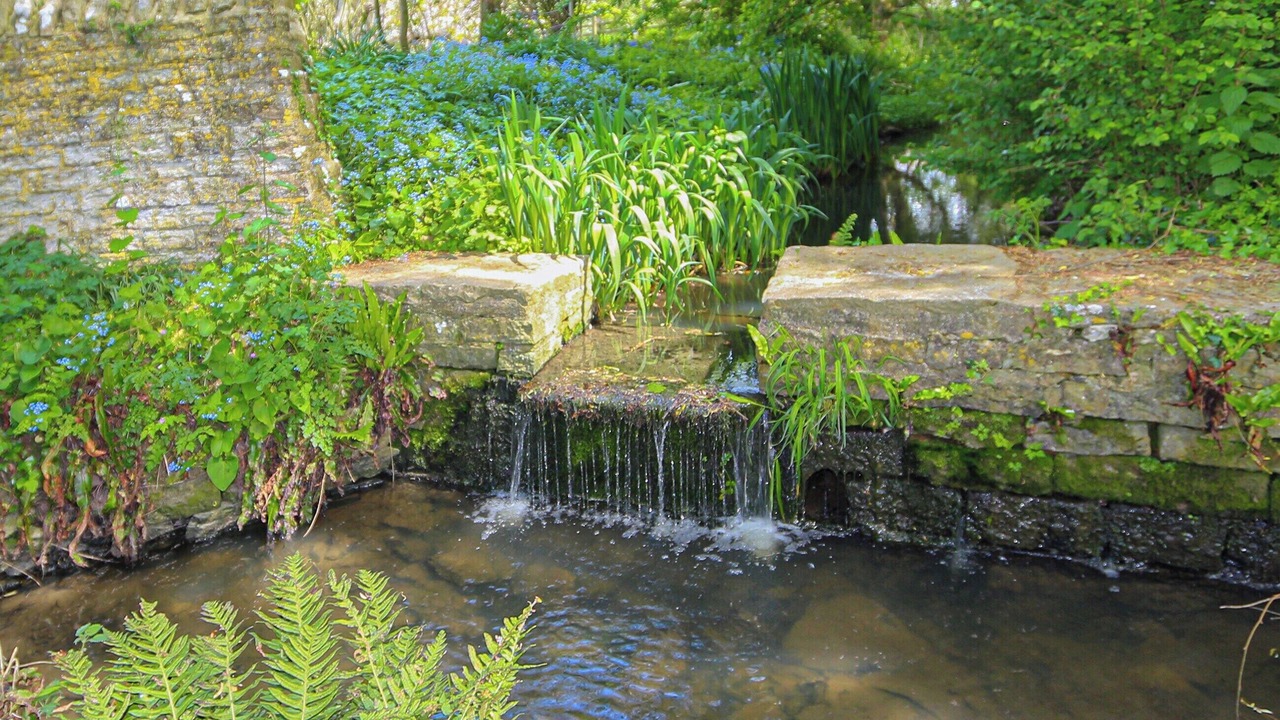 Photo of Outdoor in East Pennard