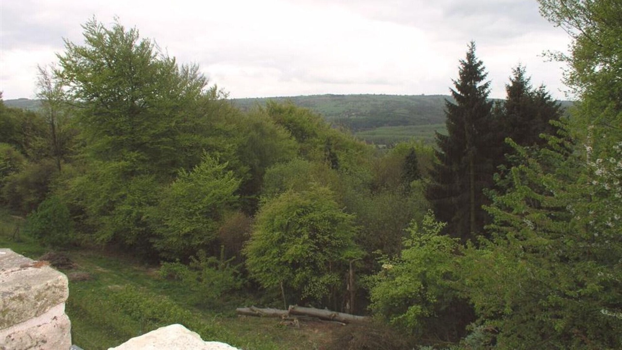 Photo of Outdoor in Darley Dale