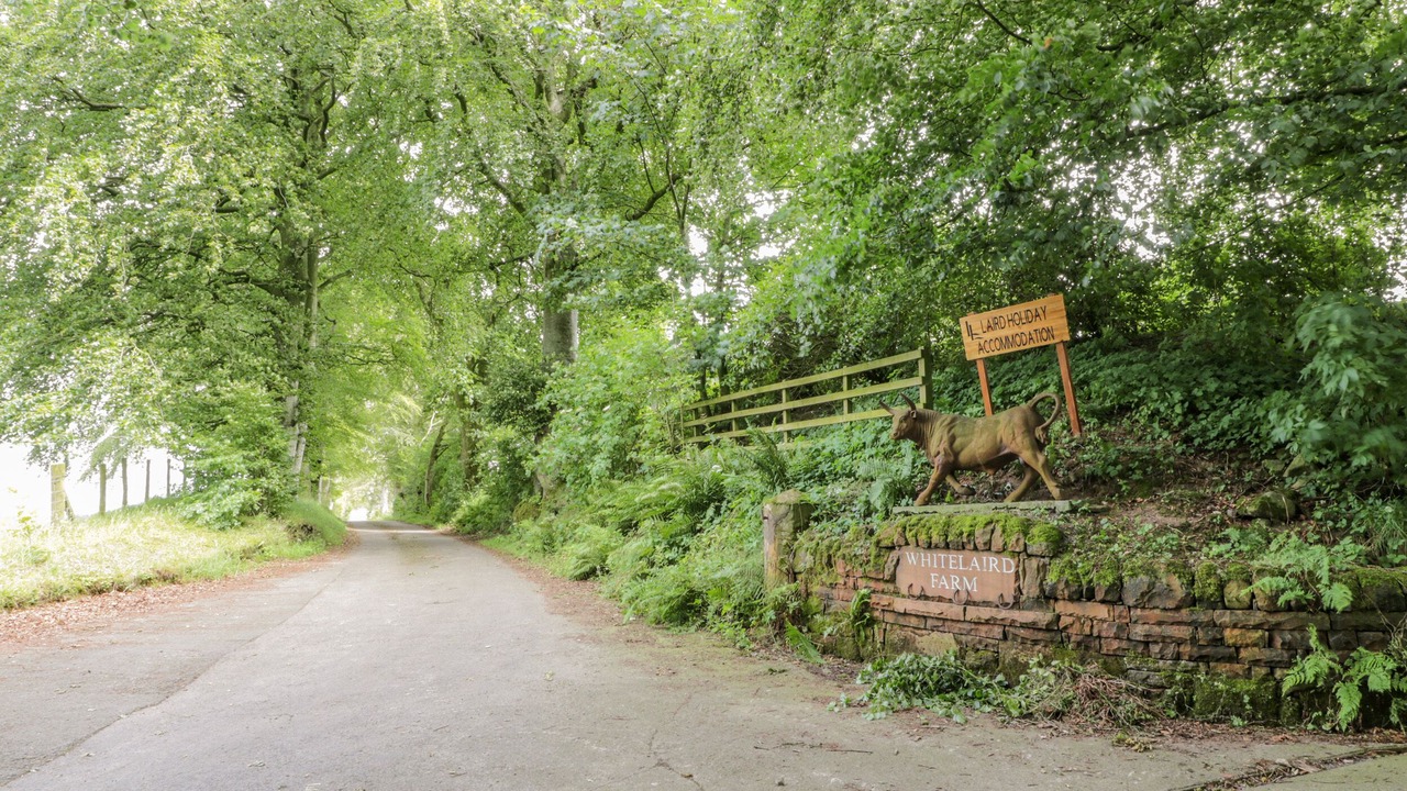 Photo of Others in Lochmaben