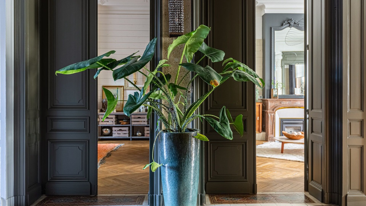 Photo of Others in Libourne