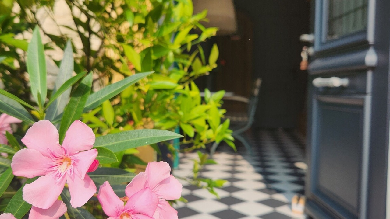 Photo of Outdoor in Libourne