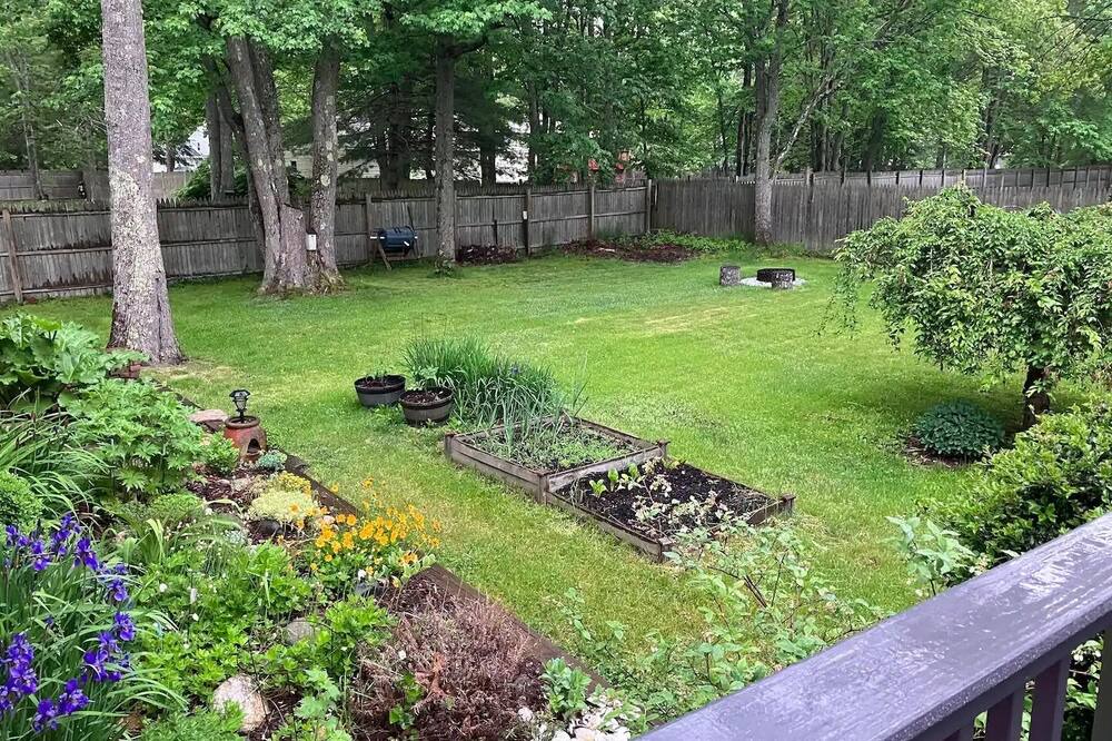 Photo of Outdoor in Topsham