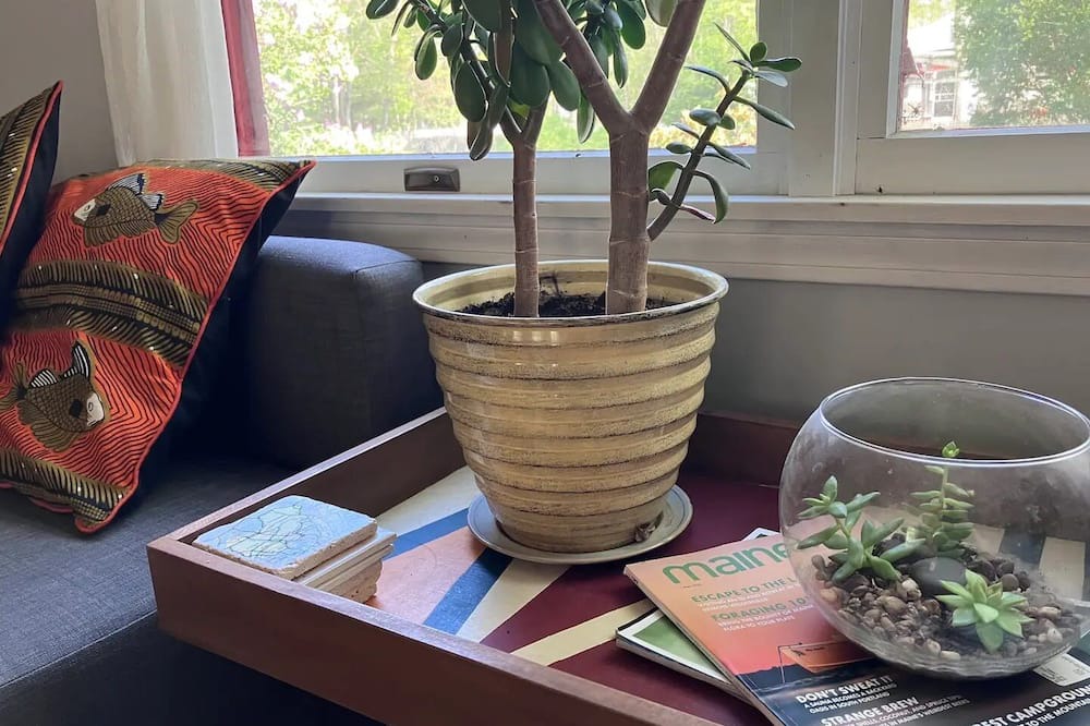 Photo of Others in Topsham