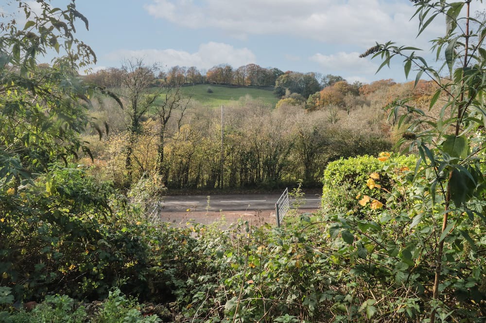 Photo of Others in Bampton