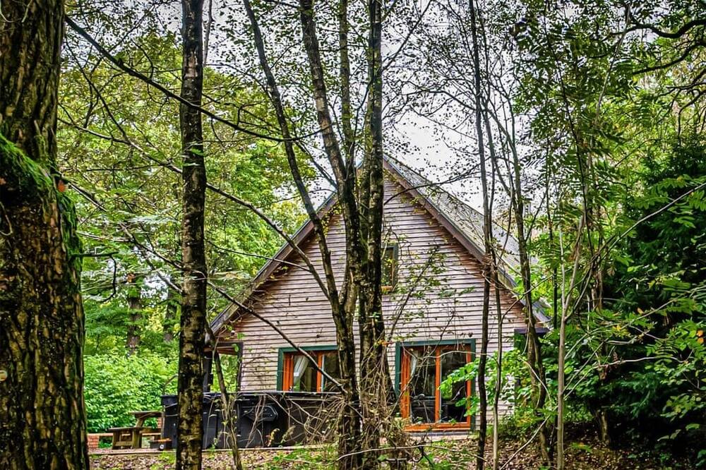 Photo of Others in Farley