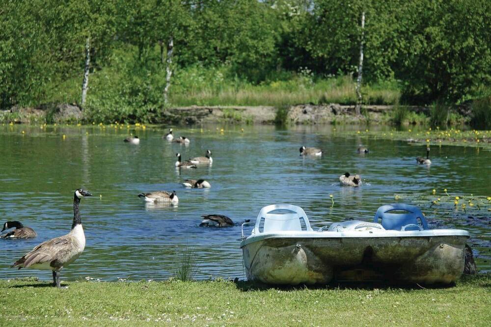 Photo of Outdoor in Pickering