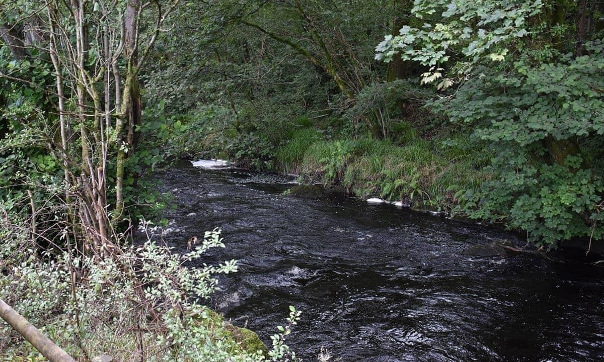 Photo of Others in Llanfair Caereinion