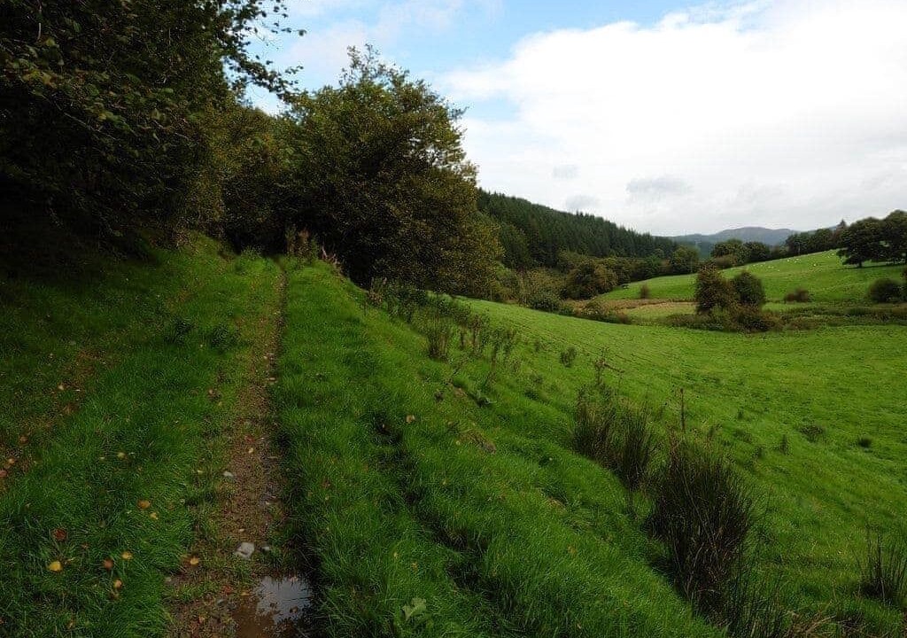 Photo of Others in Llanfair Caereinion