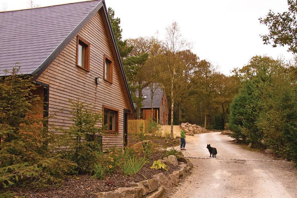 Photo of Outdoor in Farley