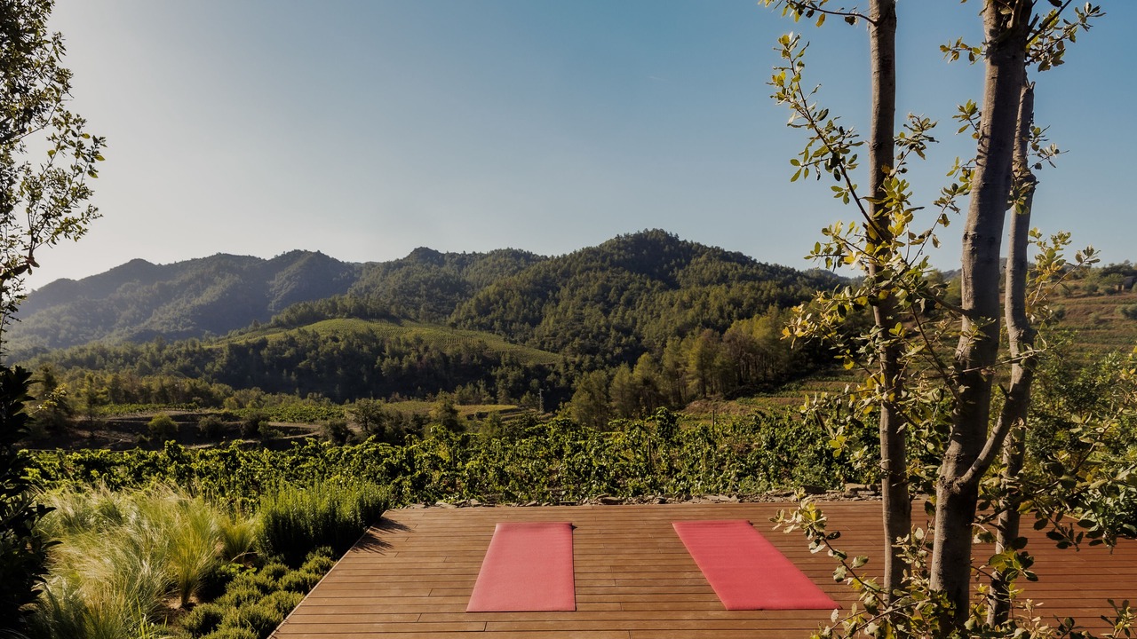 Photo of Outdoor in Torroja del Priorat