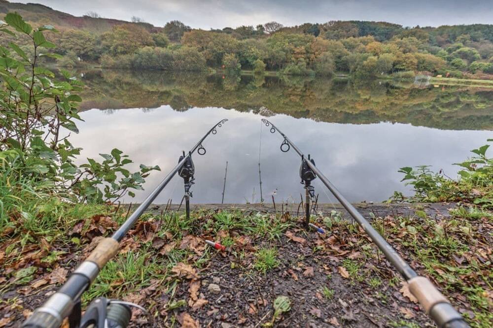 Photo of Others in Ore