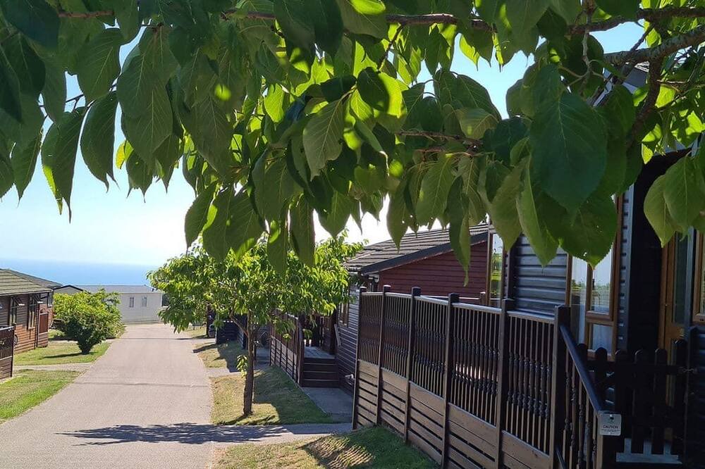 Photo of Others in Ore