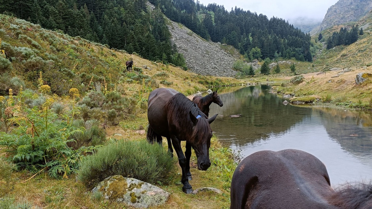 Photo of Others in Ax-les-Thermes