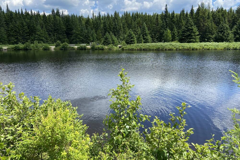 Photo of Outdoor in Notre-Dame-Des-Bois
