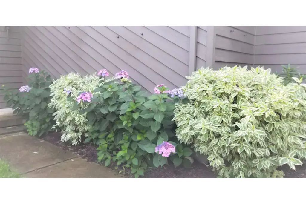 Photo of Outdoor in Honeoye