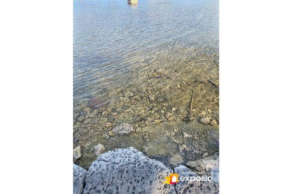 Photo of Others in Northern Bruce Peninsula