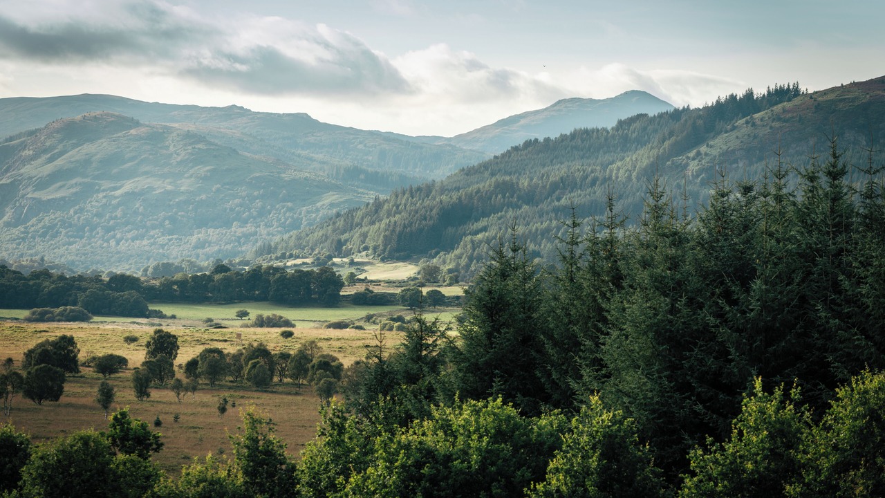 Photo of Others in Strathblane