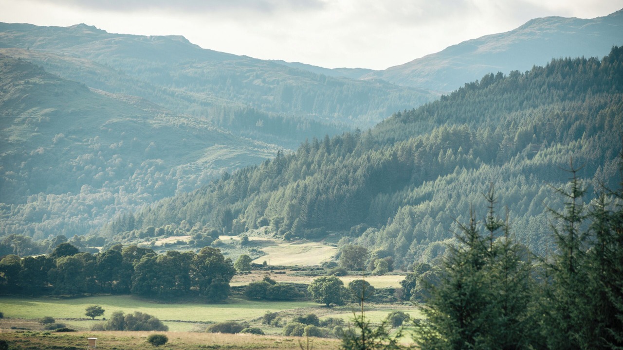 Photo of Others in Strathblane