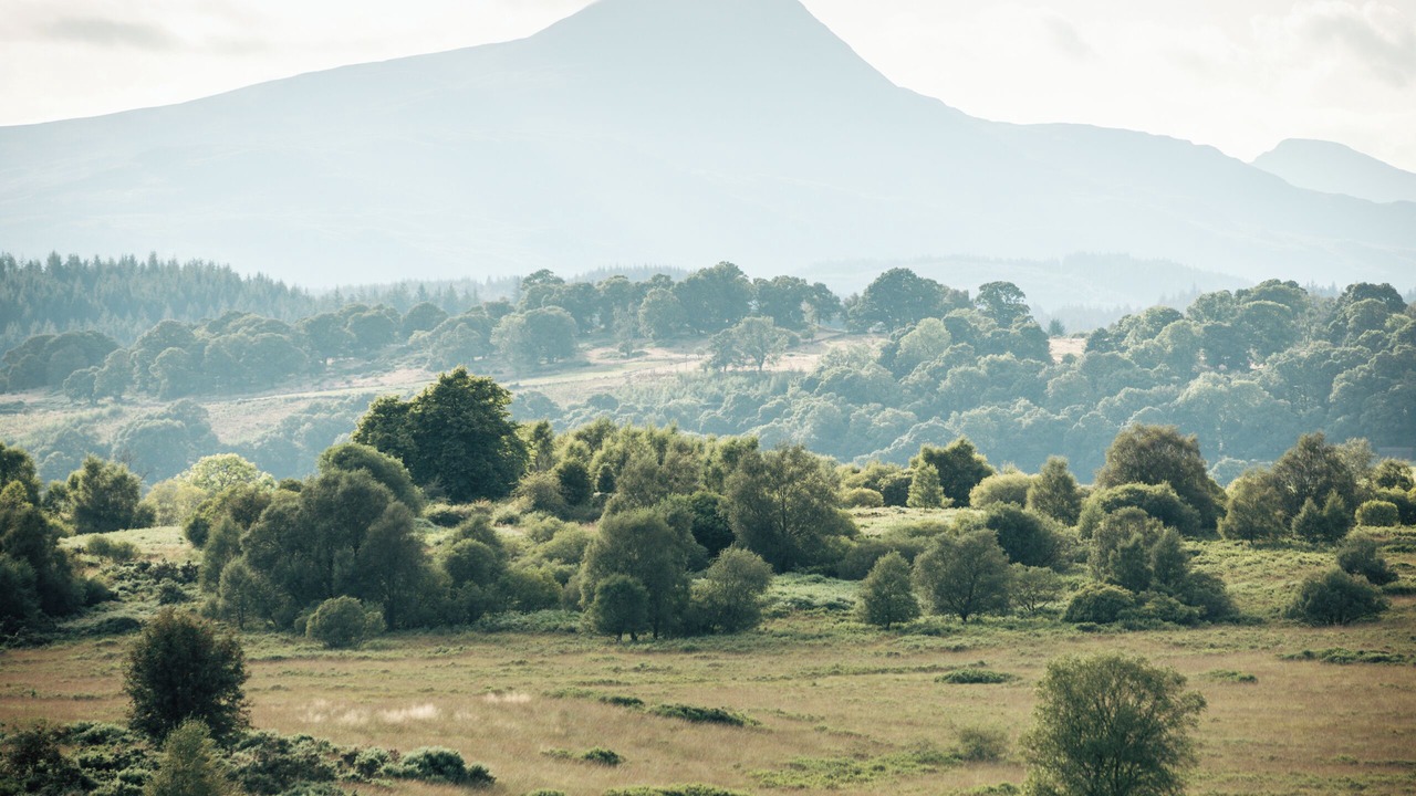Photo of Others in Strathblane