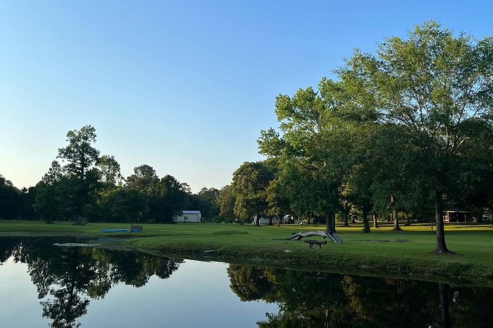 Photo of Outdoor in Willis
