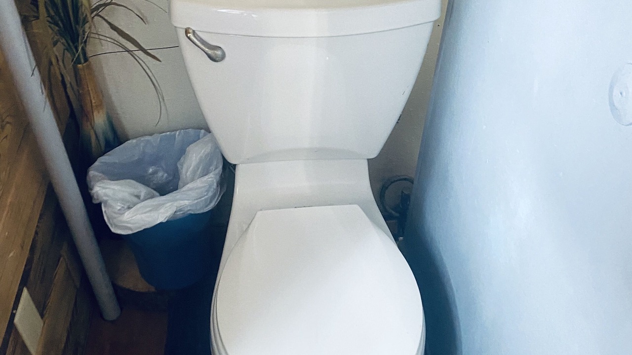 Photo of Others in Forks