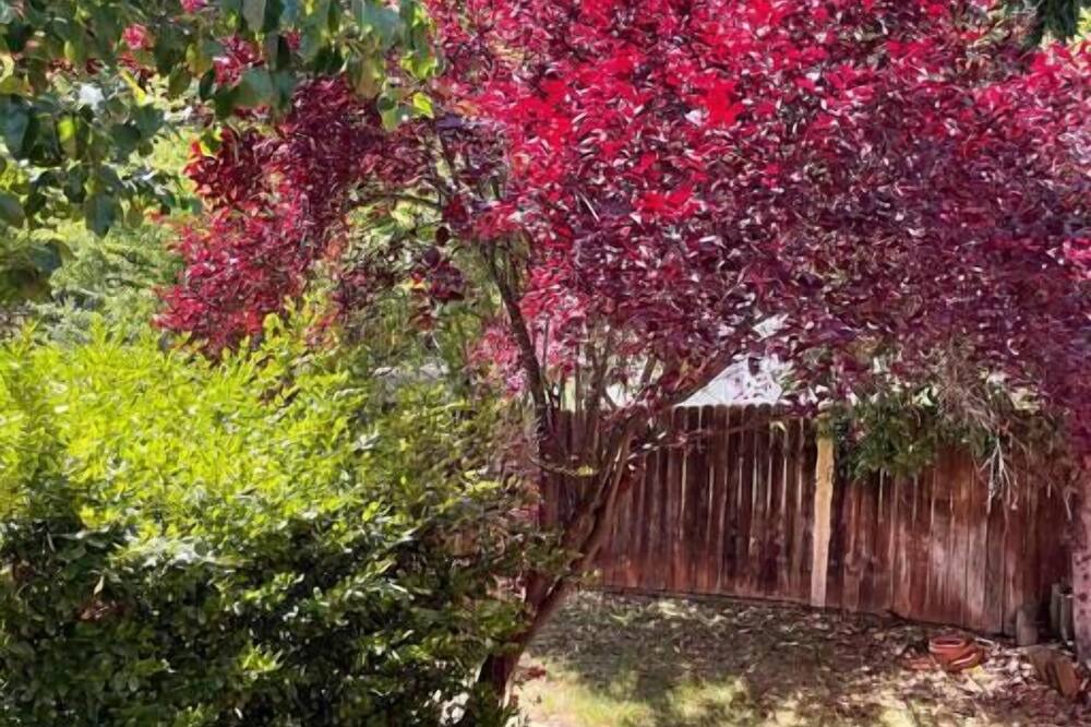 Photo of Others in North Auburn