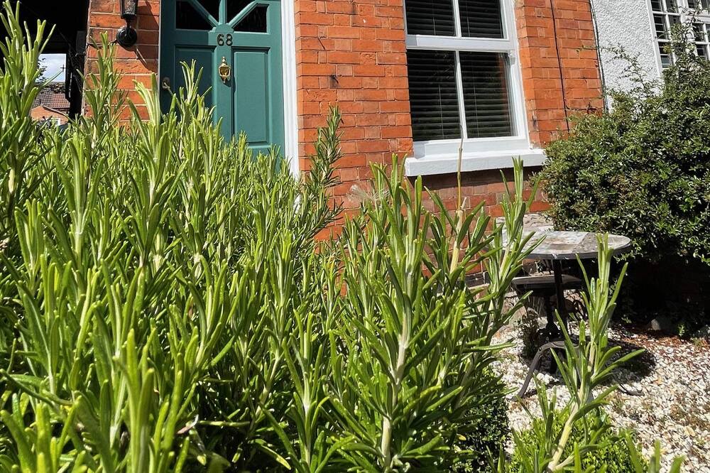 Photo of Others in Quorn