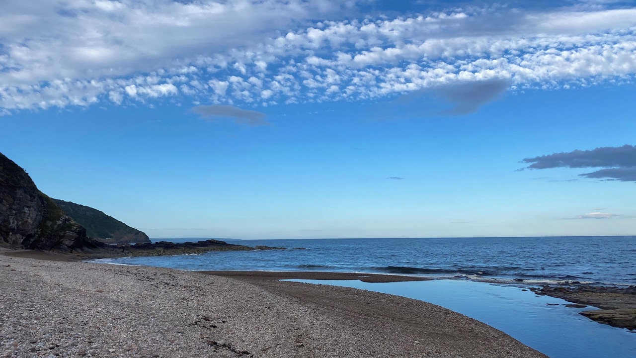 Photo of Others in Berriedale