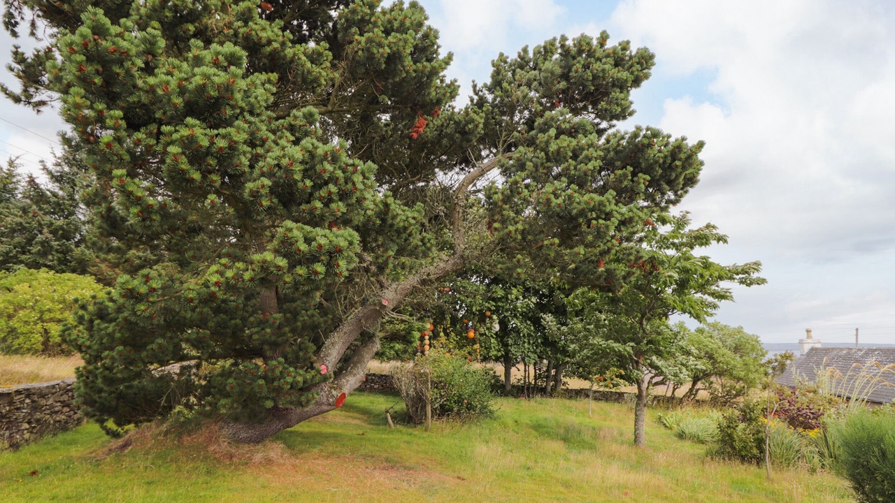 Photo of Outdoor in Berriedale