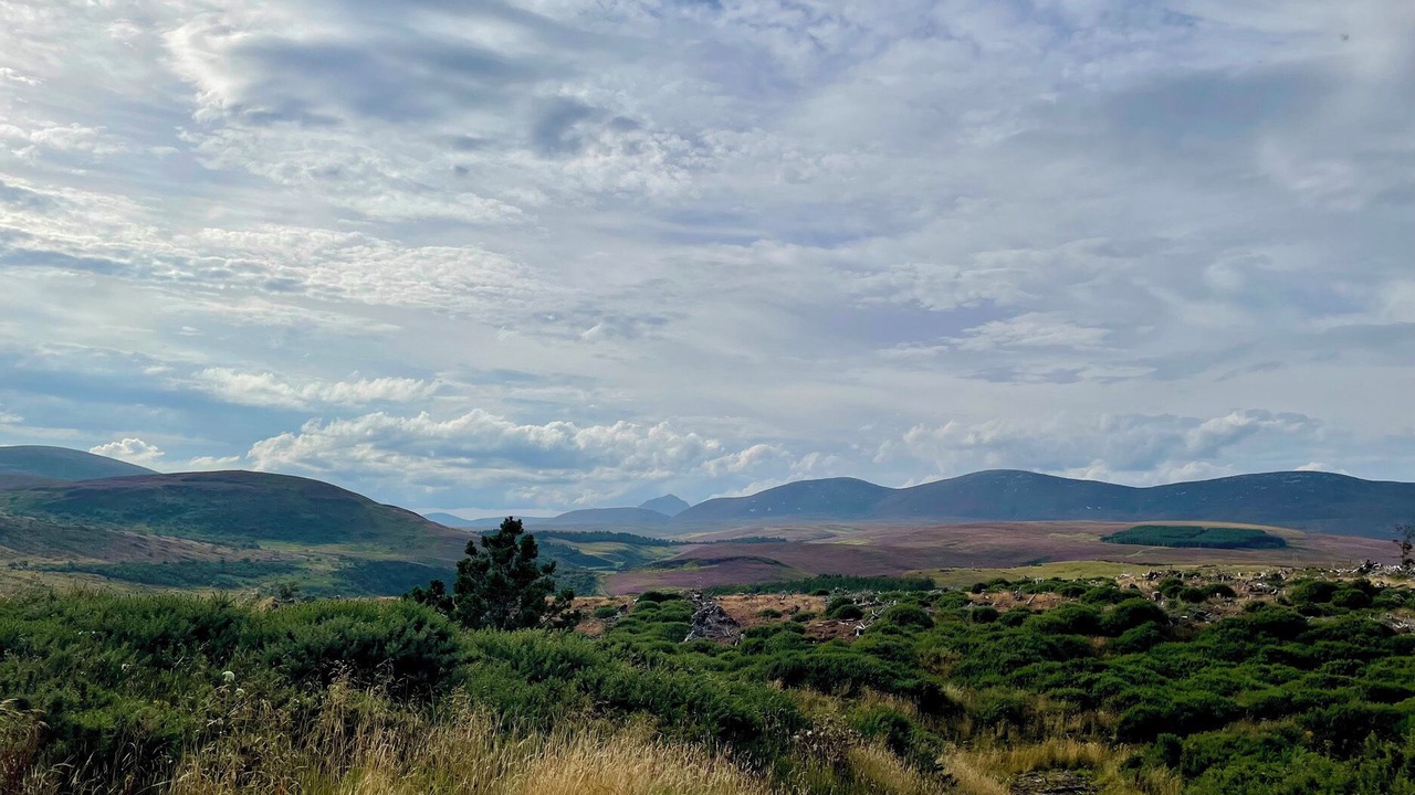 Photo of Others in Berriedale