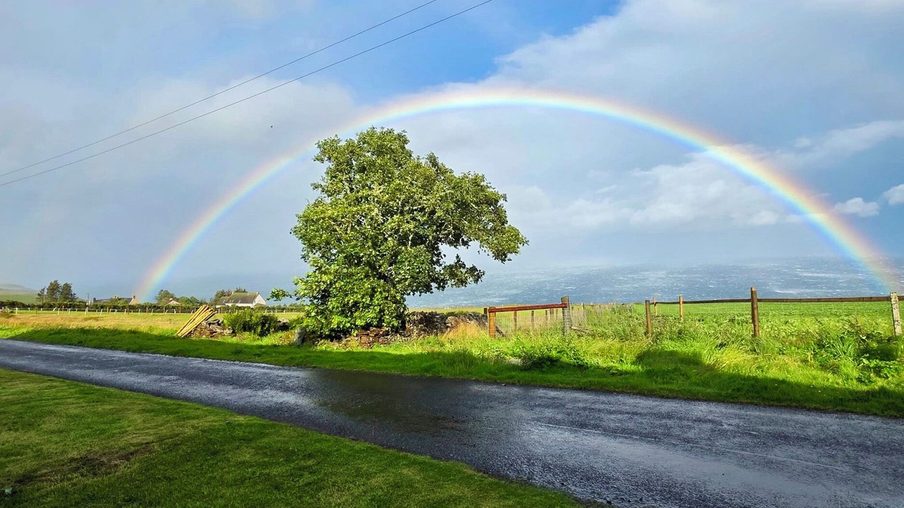 Photo of Others in Berriedale