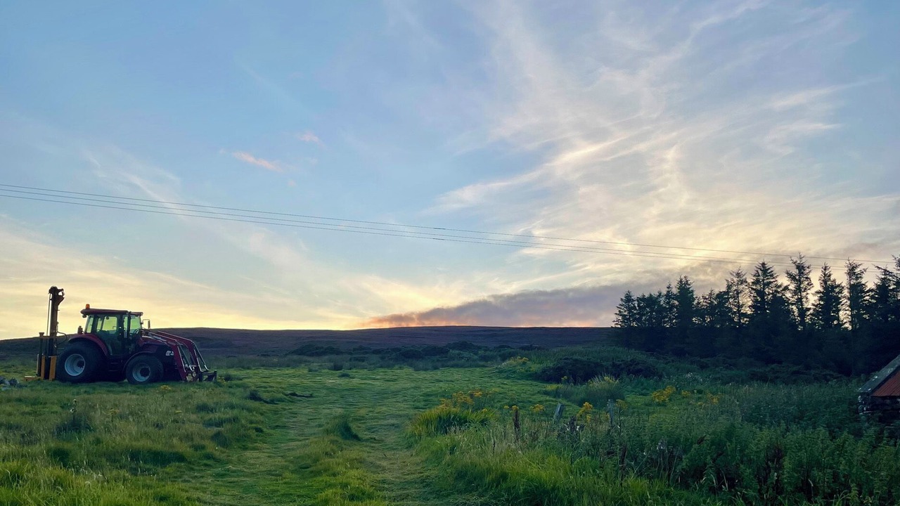 Photo of Others in Berriedale