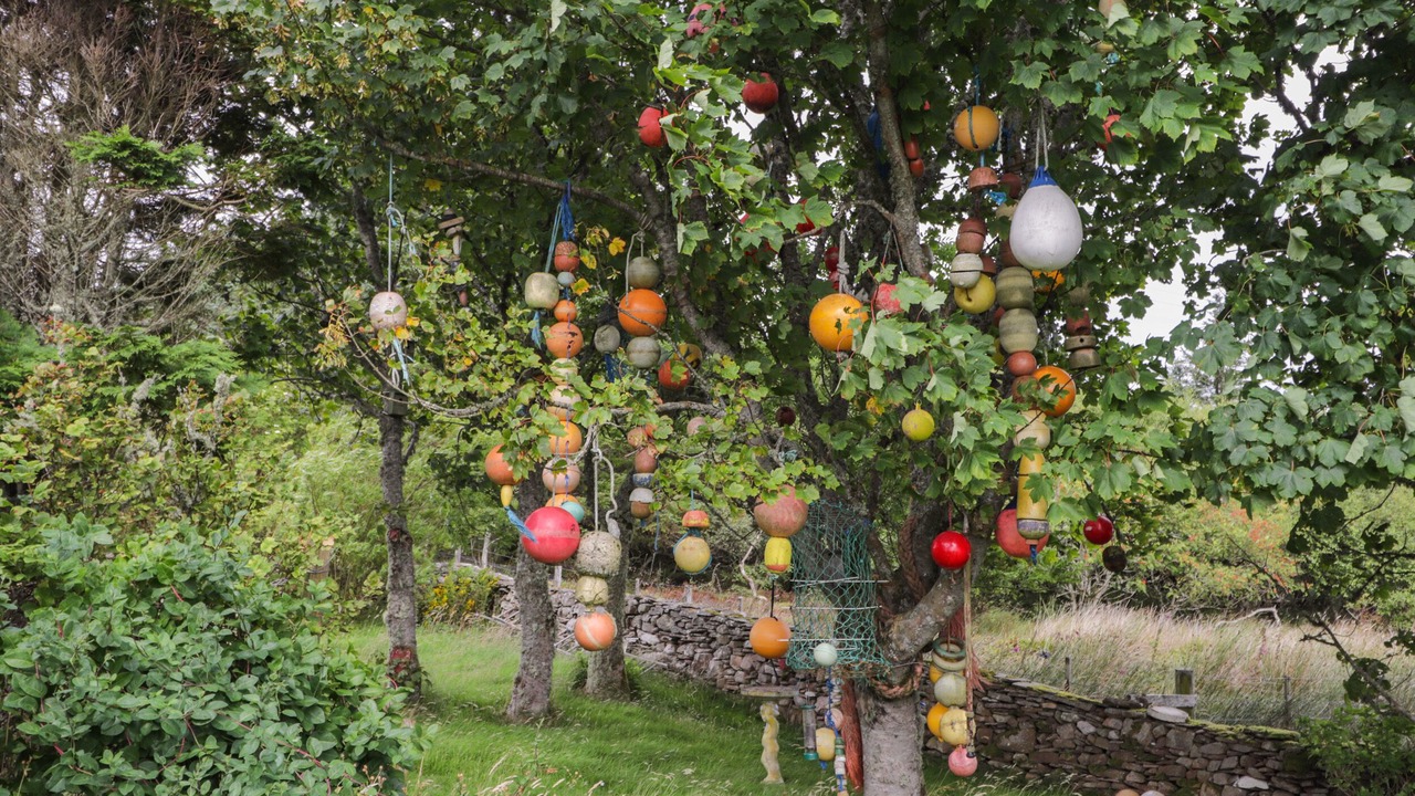 Photo of Outdoor in Berriedale