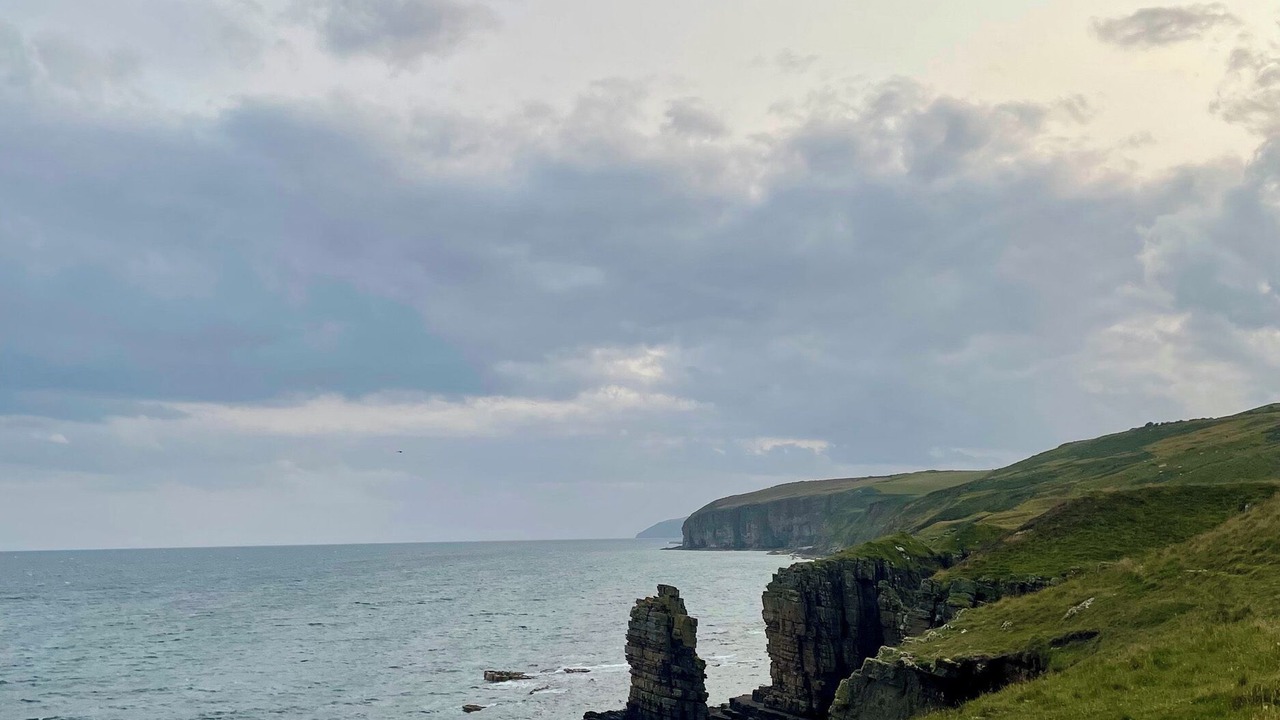 Photo of Others in Berriedale