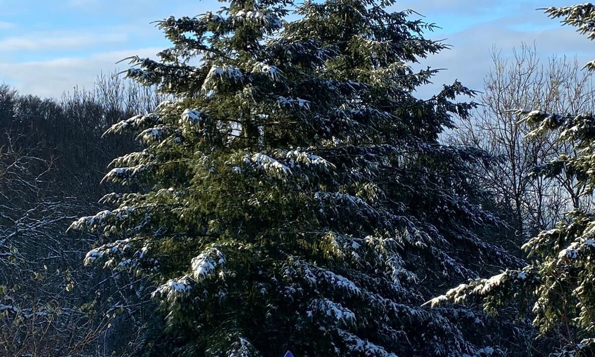 Photo of Outdoor in Ambert