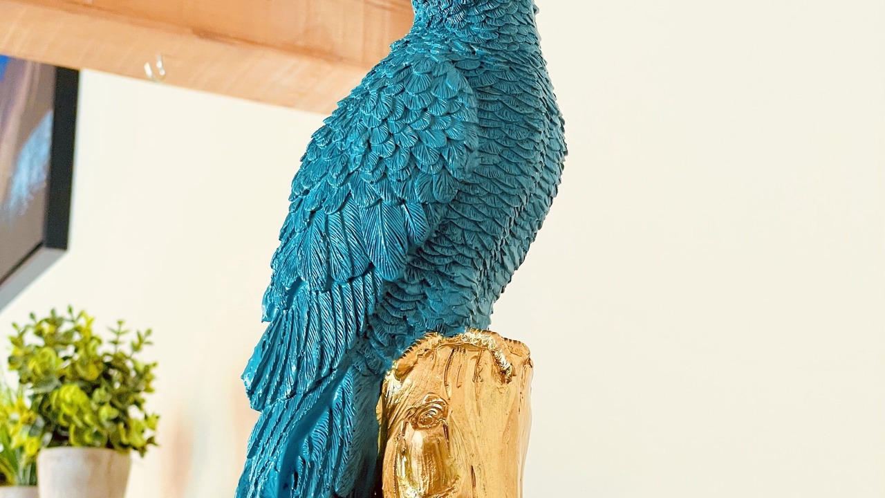 Photo of Others in Poncins