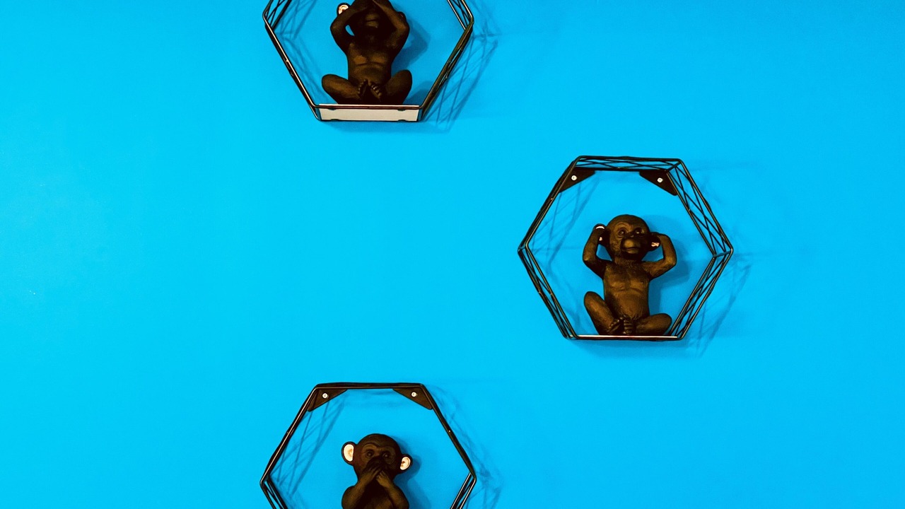 Photo of Others in Poncins