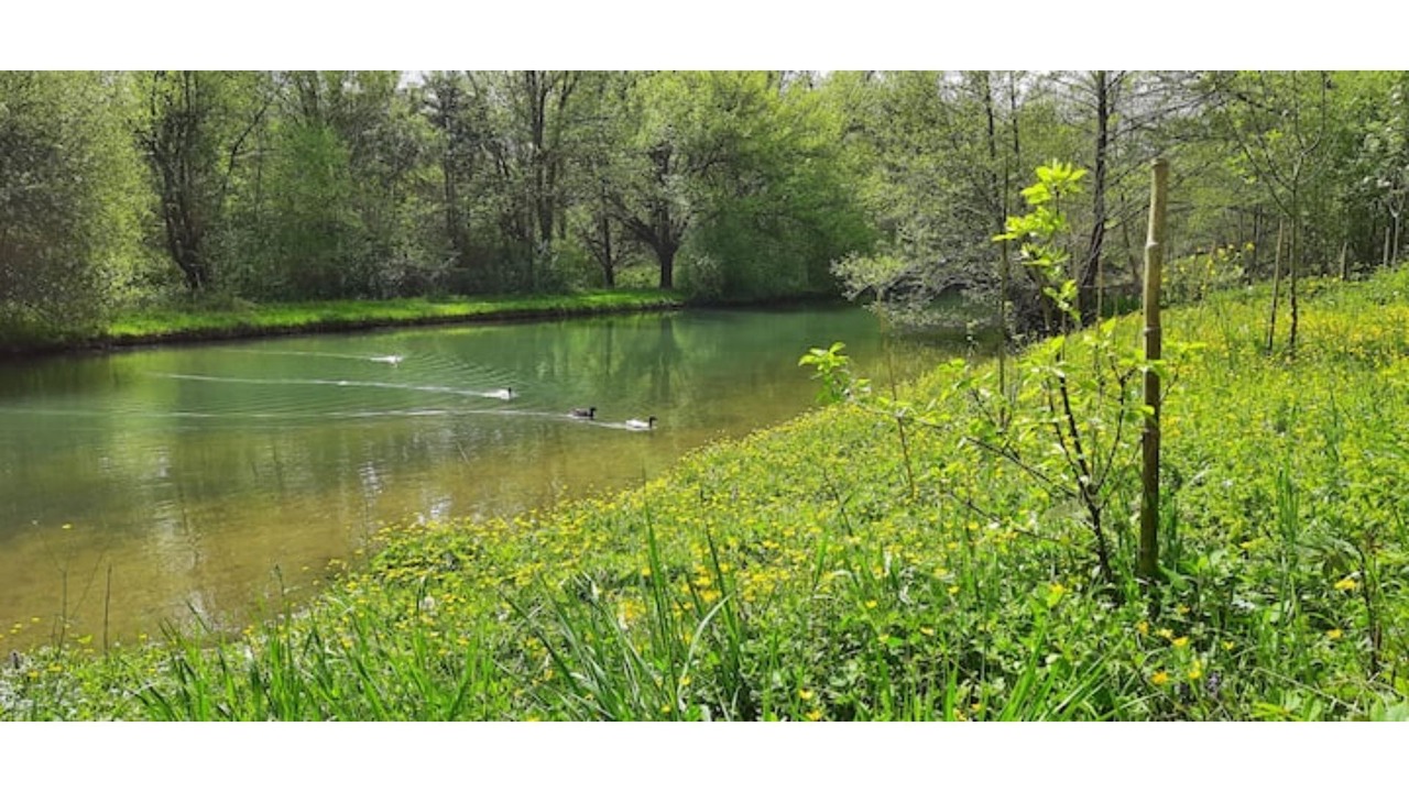 Photo of Outdoor in Bruges-Capbis-Mifaget