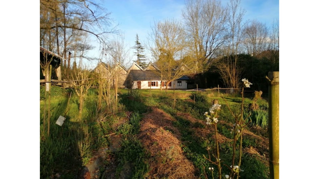 Photo of Outdoor in Bruges-Capbis-Mifaget