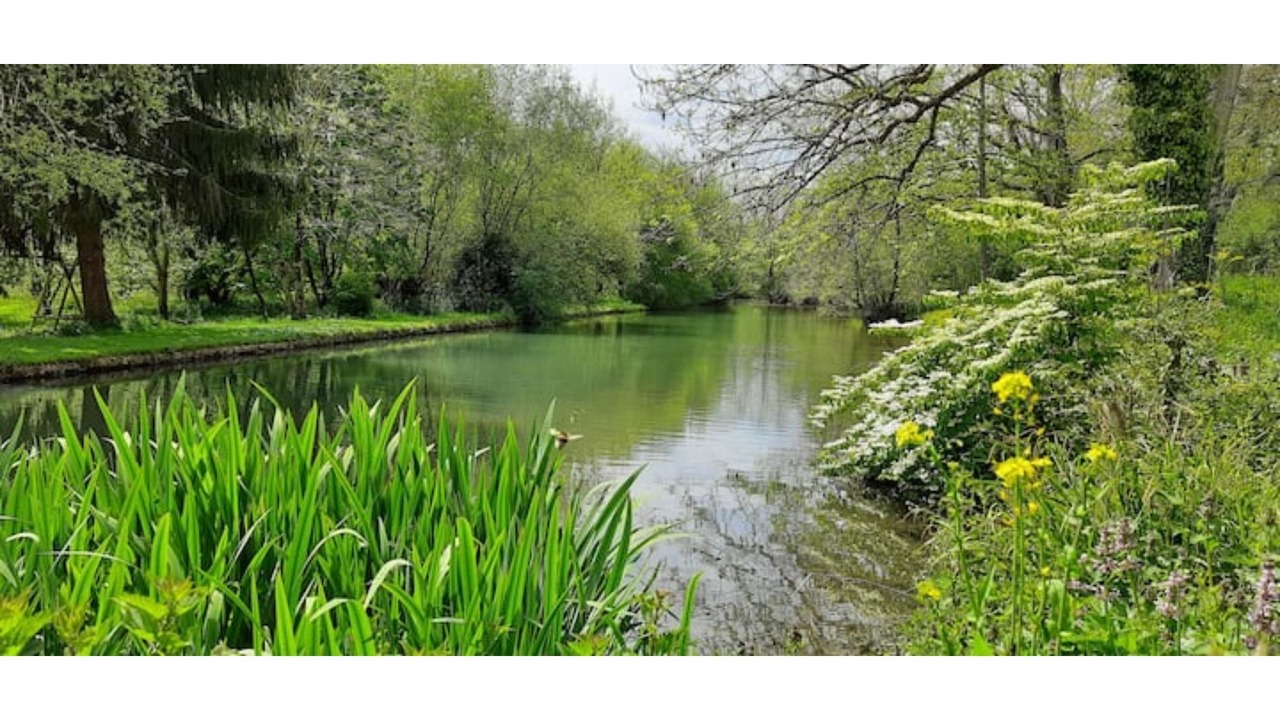 Photo of Others in Bruges-Capbis-Mifaget