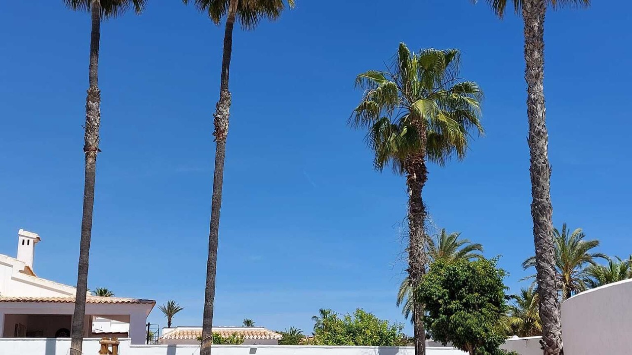 Photo of Outdoor in Playa Flamenca