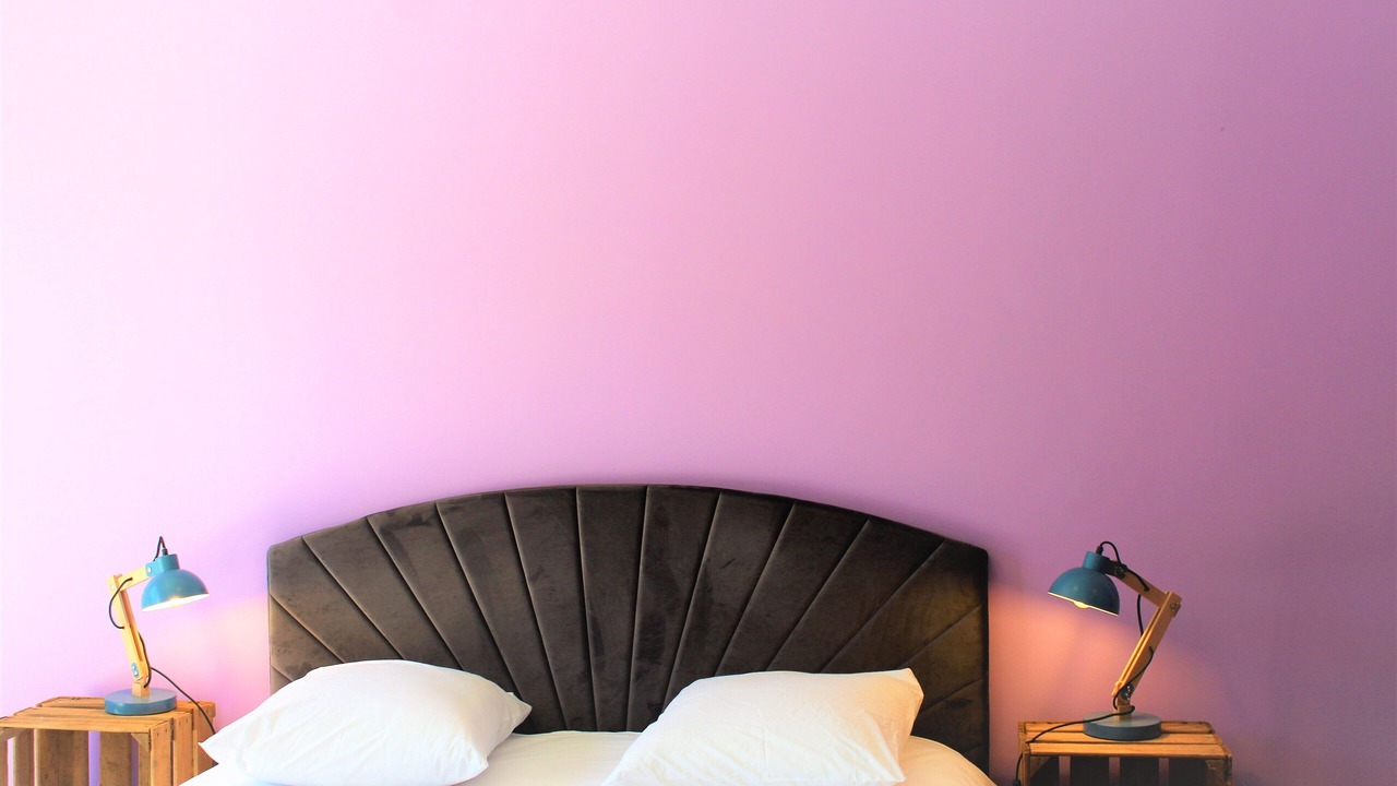 Photo of Others in Fontenay-le-Comte