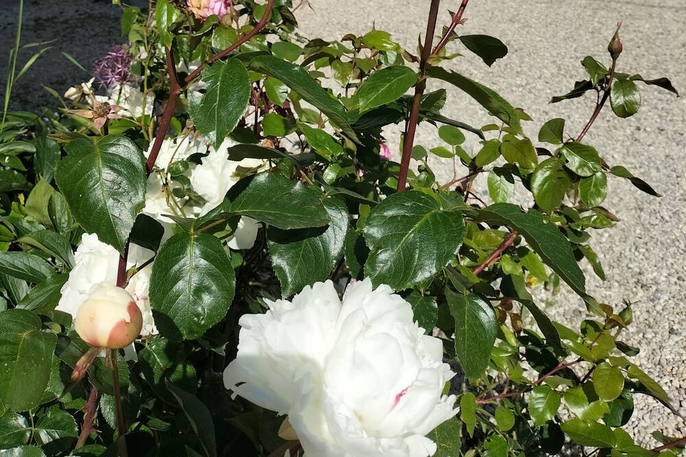 Photo of Outdoor in Secqueville-en-Bessin