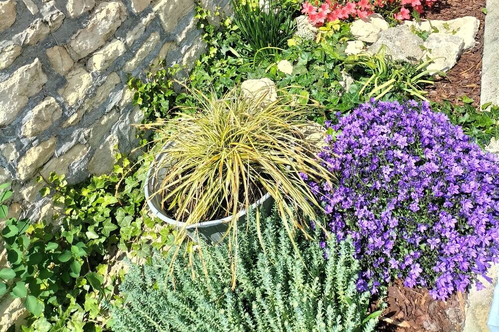 Photo of Outdoor in Secqueville-en-Bessin
